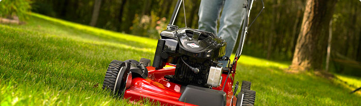 Spring Lawnmower Maintenance Tips